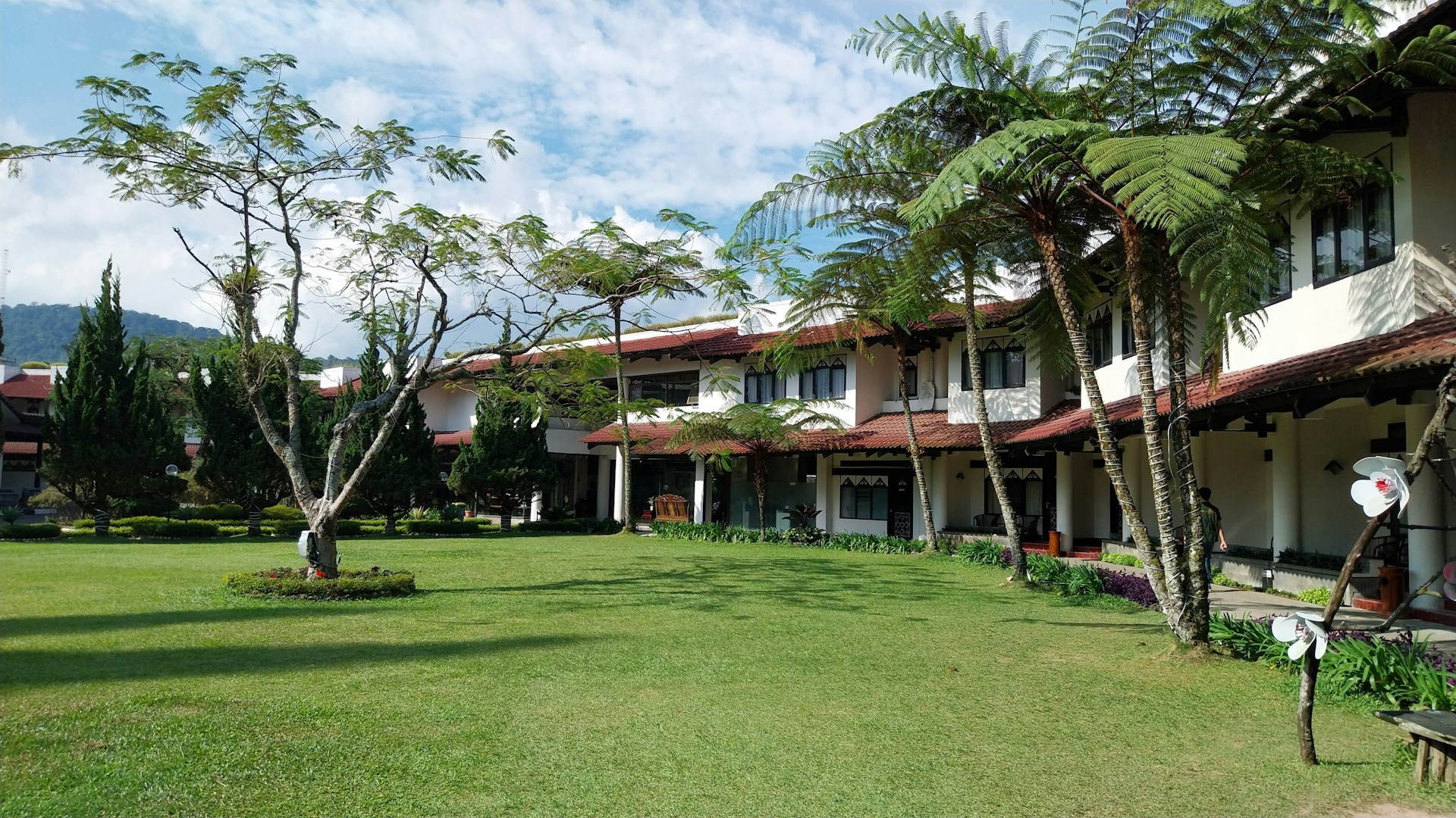 Architecture